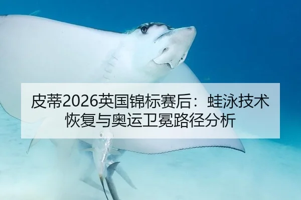 皮蒂2026英国锦标赛后：蛙泳技术恢复与奥运卫冕路径分析