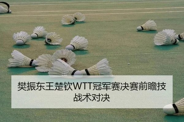 樊振东王楚钦WTT冠军赛决赛前瞻技战术对决