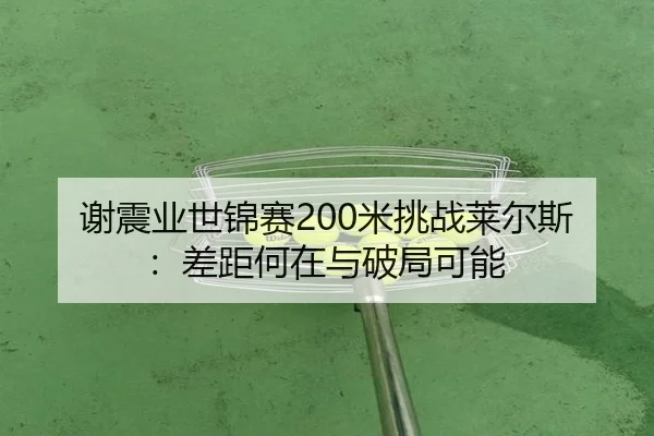 谢震业世锦赛200米挑战莱尔斯：差距何在与破局可能